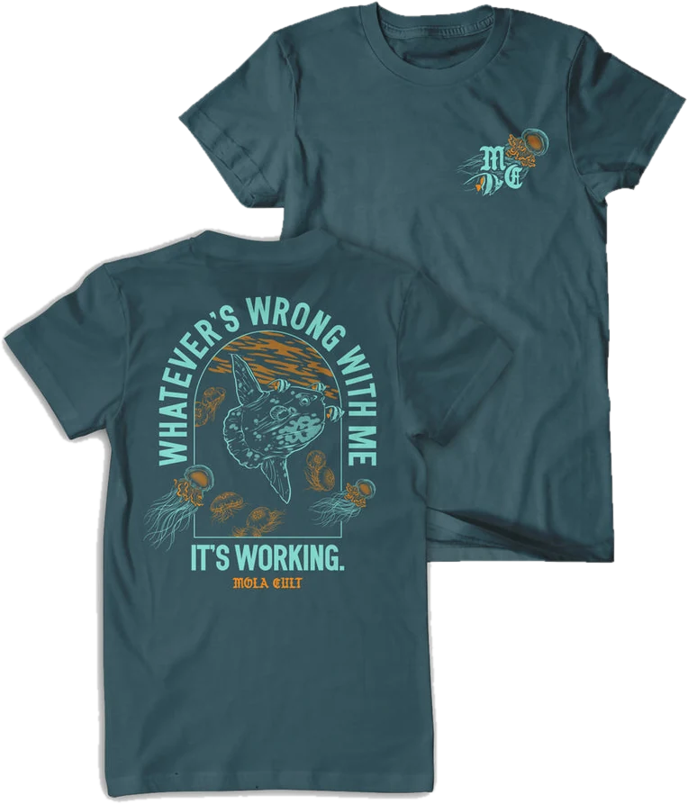 Whatever's Wrong With Me, It's Working Shirt